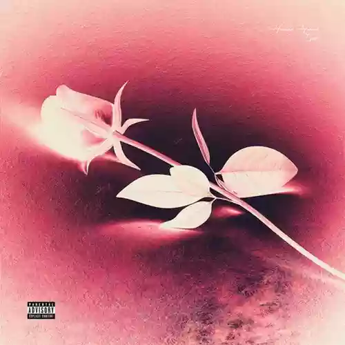 همینه همیشه